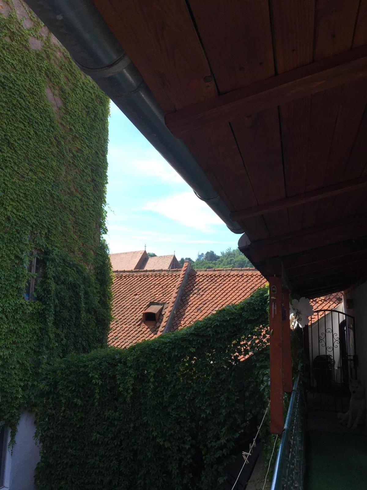 Castel Residence Brasov Exterior photo